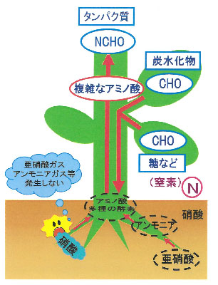 SH発酵菌入り体有機堆肥のメカニズム